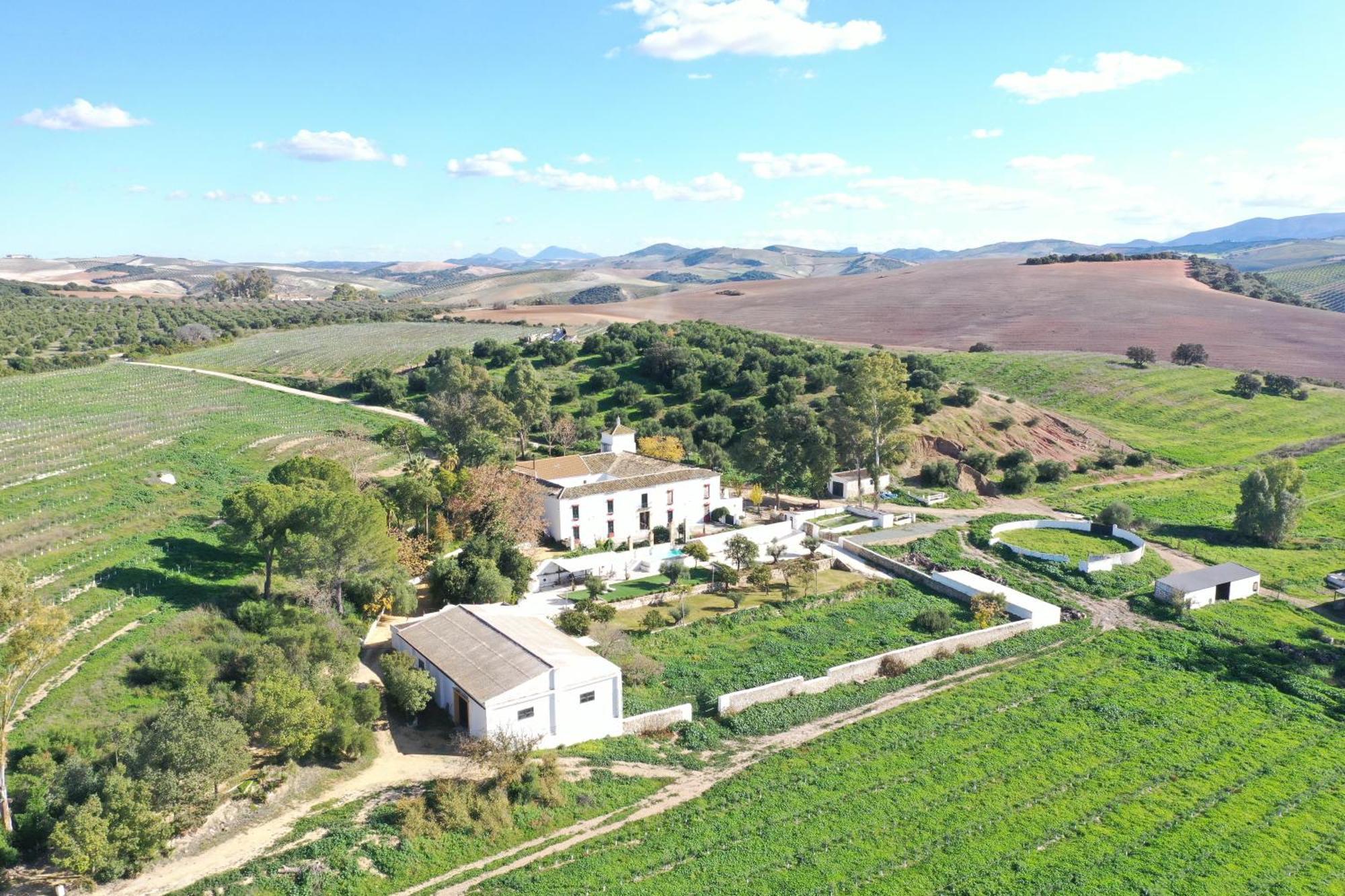 Hacienda Las Lumbreras Montellano Exterior foto